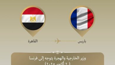 وزير الخارجية يتوجه إلى باريس