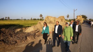 وزيرة التنمية المحلية والقائم بأعمال وزير البيئة في جولة مفاجئة لمنظومة جمع قش الأرز بالدقهلية والقليوبية