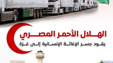 مساعدات ضخمة وحلول ميدانية لأهالي غزة منذ بدء الأزمة