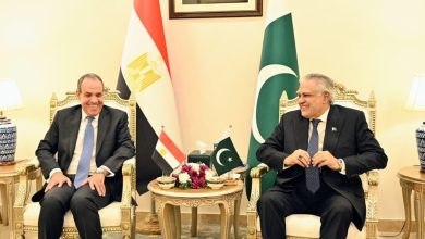 مشاورات سياسية بين وزيرى الخارجية المصري والباكستاني في إسلام آباد