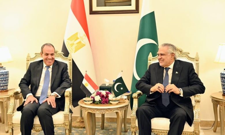 مشاورات سياسية بين وزيرى الخارجية المصري والباكستاني في إسلام آباد