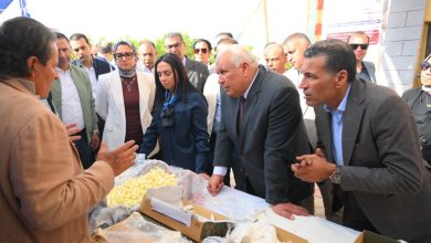 وزيرة التضامن الاجتماعي تتفقد وحدة إنتاج الحرير خلال زيارتها لمحافظة الوادي الجديد