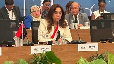 ● وزيرة التنمية والقائم بأعمال وزير البيئة تشارك في حوار المائدة المستديرة حول التحول في مجال الطاقة