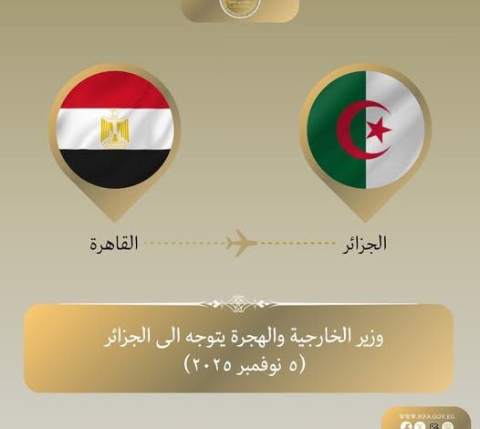 وزير الخارجية يتوجه إلى الجزائر