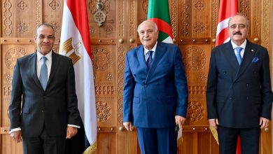 وزير الخارجية يشارك في اجتماع الآلية الثلاثية لدول جوار ليبيا بالجزائر