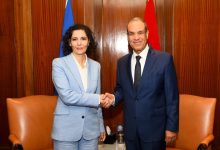 وزير الخارجية يلتقي مع مفوضة الاتحاد الأوروبى لإدارة الأزمات