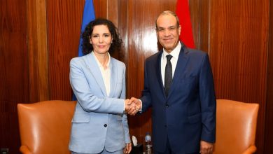 وزير الخارجية يلتقي مع مفوضة الاتحاد الأوروبى لإدارة الأزمات