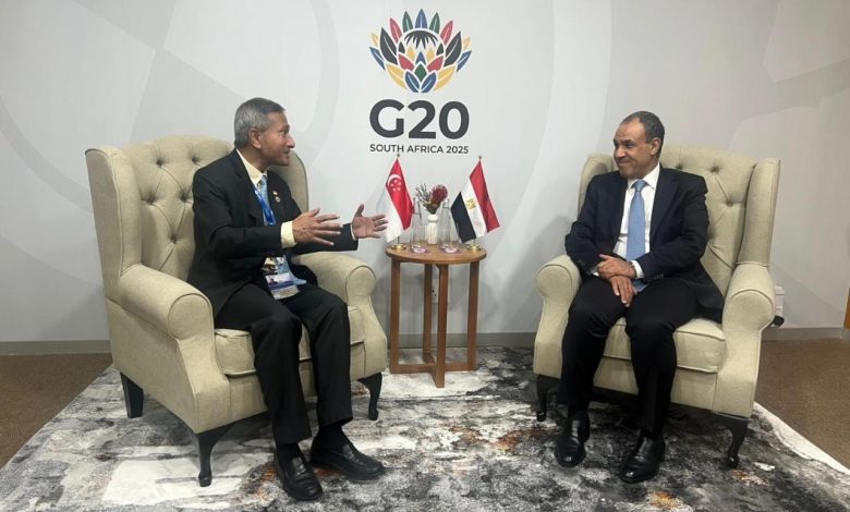 وزير الخارجية يلتقي نظيره السنغافوري