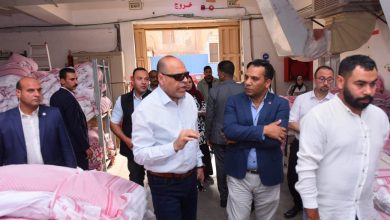 وزير العمل يقود جولة تفتيشية جديدة بمناطق صناعية بالسويس لتطبيق قانون العمل الجديد