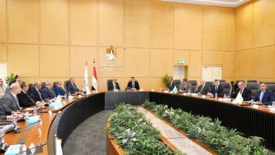 الشربيني ورئيس العربية للتصنيع يتابعان موقف تنفيذ مشروعات المبادرة الرئاسية حياة كريمة