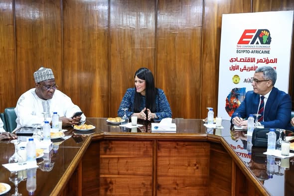 المشاط الرئيس عبد الفتاح السيسي يشيد على دفع التعاون مع دول القارة الأفريقية