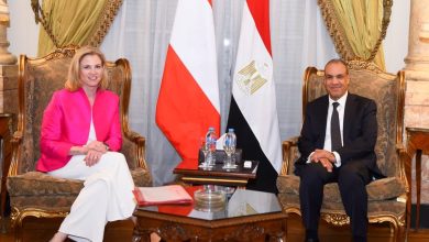 وزير الخارجية يلتقي وزيرة خارجية النمسا
