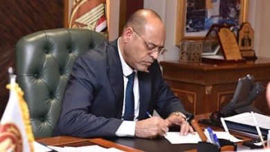 وزير العمل يُقرر إيقاف وإغلاق نشاط 10 شركات إلحاق عمالة مصرية بالخارج لمخالفتها