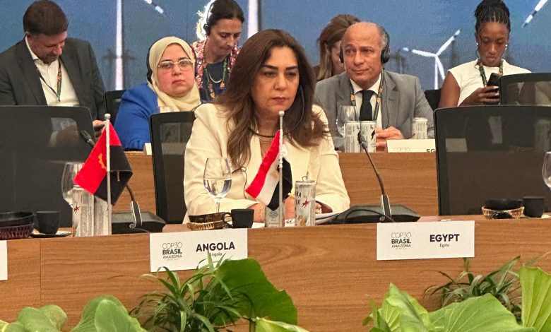 ● وزيرة التنمية والقائم بأعمال وزير البيئة تشارك في حوار المائدة المستديرة حول التحول في مجال الطاقة