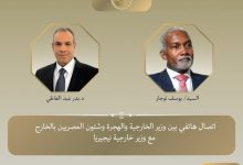 اتصال هاتفي بين وزير الخارجية ونظيره النيجيري لبحث تطورات الأوضاع الإقليمية