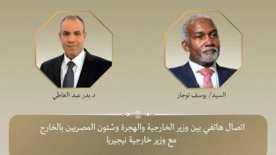 اتصال هاتفي بين وزير الخارجية ونظيره النيجيري لبحث تطورات الأوضاع الإقليمية