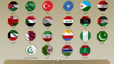 بيان مشترك من مجموعة دول عابرة للأقاليم تعليقًا على اعتراف إسرائيل بإقليم "أرض الصومال" بجمهورية الصومال الفيدرالية يوم ٢٦ ديسمبر ٢٠٢٥