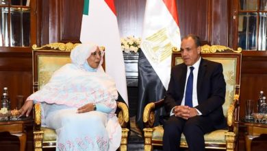 وزير الخارجية يلتقي وزيرة شئون مجلس الوزراء السوداني