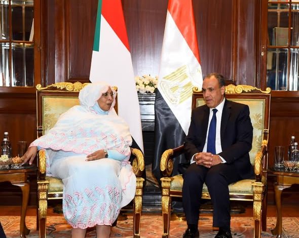 وزير الخارجية يلتقي وزيرة شئون مجلس الوزراء السوداني