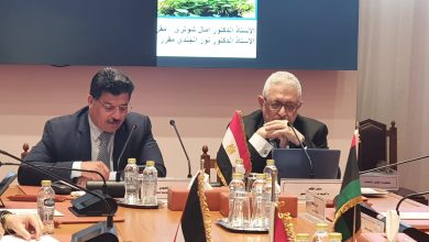 الكلمة الافتتاحية لمدير إدارة المنظمات والاتحادات العربية بجامعة الدول العربية في انطلاق المؤتمر الدولي الخامس عشر للتنمية المستدامة والبيئة