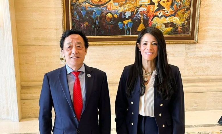 المشاط تبحث مع مدير عام منظمة الأغذية والزراعة (الفاو) الجهود المشتركة لتعزيز الأمن الغذائي في إطار البرنامج القُطري للمنظمة