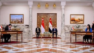 المشاط تستعرض أبرز تطورات الشراكة المصرية الأسيوية خلال عام 2025