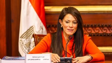 «المشاط»: التمويلات التنموية الميسرة للقطاع الخاص ترتفع إلى 17 مليار دولار منذ عام 2020