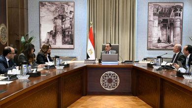 رئيس الوزراء يستعرض مقترحات تطوير المنطقة المحيطة بالقلعة