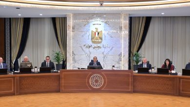 رئيس جهاز التعبئة والإحصاء يُقدم عرضًا حول التعداد العام للسكان والإسكان والمنشآت