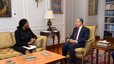 عبد العاطي يلتقي نائبة وزير خارجية جنوب أفريقيا لبحث سبل تعزيز العلاقات الثنائية