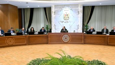 مدبولي يستعرض رؤية مستقبلية للسياسات وحوافز الاستثمارية في قطاعات دولة مختلفة