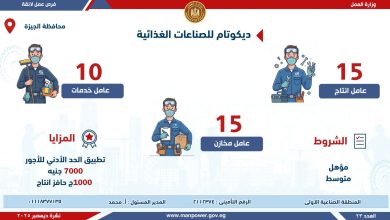 وزارة العمل تُعلن عن فرص عمل جديدة في شركات خاصة