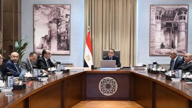مدبولي يتابع الموقف التنفيذي لمشروعات تطوير قطاع الغزل والنسيج
