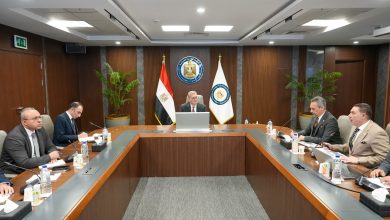 وزير البترول والثروة المعدنية ومحافظ أسوان يتفقدان استئناف أعمال الحفر بحقل البركة في أسوان