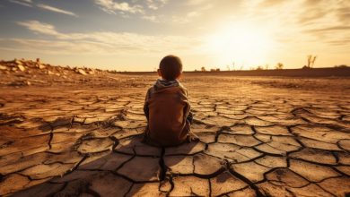 واقع التصحر في الوطن العربي… أزمة بيئية تهدد الحياة والتنمية