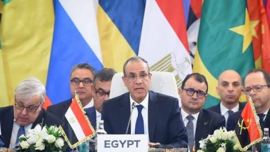 وزير الخارجية يستعرض رؤية مصر للأمن والتنمية في أفريقيا