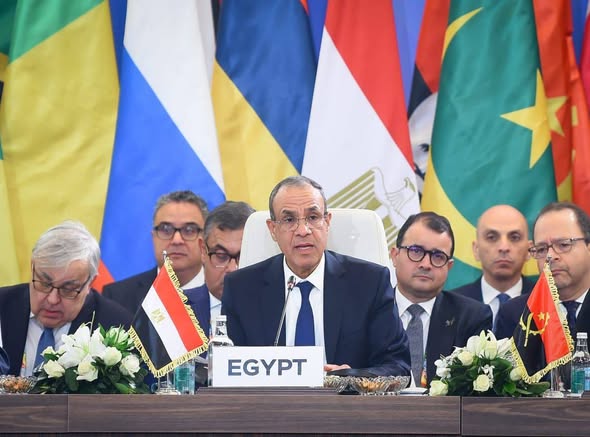وزير الخارجية يستعرض رؤية مصر للأمن والتنمية في أفريقيا