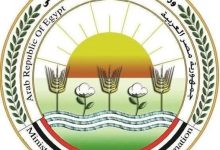 "الزراعة": تحصين 1.2 مليون رأس ماشية ضد "الحمى القلاعية" حتى الآن