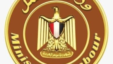 وزارة العمل: التفتيش على 581 منشأة وإعادة التفتيش على 331 أخرى.. خلال 4 أيام فقط