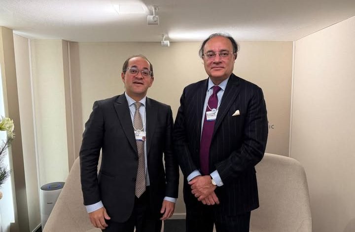 وزير المالية يبحث تعزيز التعاون الاقتصادي مع نظيره الباكستاني على هامش «دافوس»