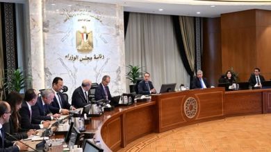 مدبولي يتابع الجهود الحكومية الخاصة بتيسير الإجراءات وتسهيل دخول السائحين وتحسين التجربة السياحية والصورة الذهنية