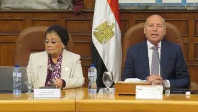 الألفي تشارك في اجتماع المجلس الإقليمي للسكان برئاسة محافظ القاهرة