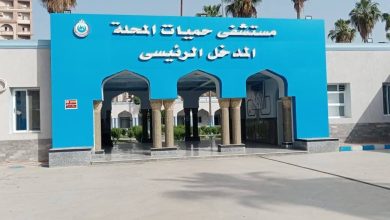 الصحة تقديم 11.5 مليون خدمة طبية من خلال المنشآت الطبية بمحافظة الغربية خلال عام 2025