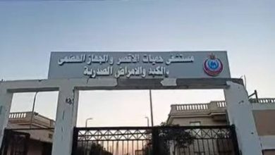 الصحة تقديم أكثر من 530 ألف خدمة طبية بمحافظة الأقصر خلال عام 2025