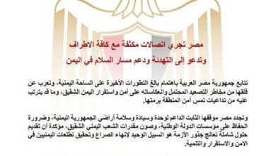 مصر تجري اتصالات مكثفة مع كافة الأطراف وتدعو إلى التهدئة ودعم مسار السلام في اليمن