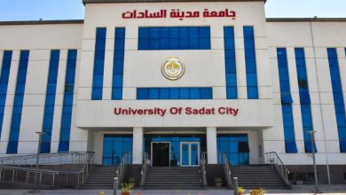 جامعة مدينة السادات تتقدم عالميًا في تصنيفي Webometrics وTHE Subject لعام 2026
