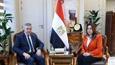 د. منال عوض تبحث مع محافظ الإسكندرية الموقف التنفيذي لمشروعات الخطة الاستثمارية ومنظومة التصالح والتقنين والنظافة