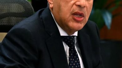 رئيس الوزراء يشهد بدء التشغيل التجاري لمحطة البحر الأحمر لتداول الحاويات رقم 1 (RSCT) بميناء السخنة