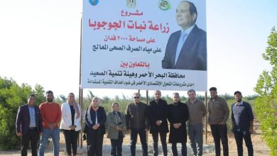 رئيس هيئة تنمية الصعيد يتفقد ويتابع عملية حصاد محصول الجوجوبا بمحافظة البحر الأحمر
