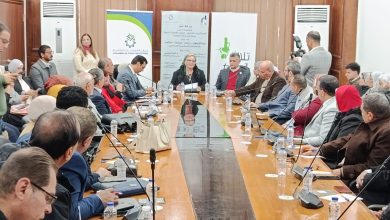 زيت الزيتون.. زراعة.. صناعة.. استثمار،، نو تعظيم القيمة المضافة ودعم الاقتصاد الوطني